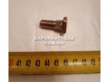 ���� ��������� ������� ������ (������� ������� ���������� ��������) �������